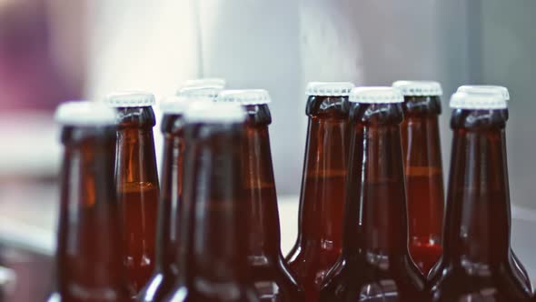 Glass bottles of beer in beer factory. Concept brewery plant production line.