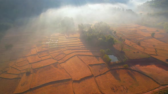 Aerial view from a drone over misty landscape on farmland. 4K