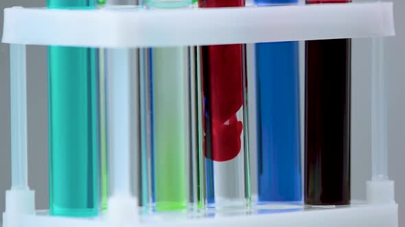 Close Up Test Tubes with Multicolored Liquid in Laboratory Rack