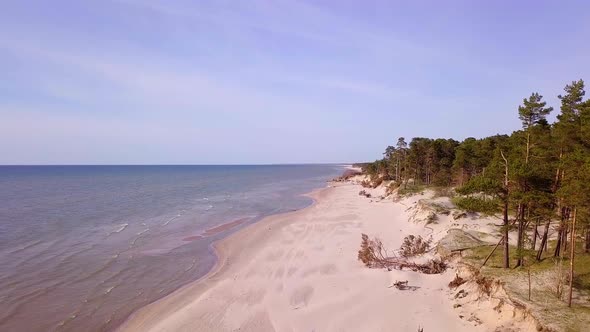 Aerial view of Baltic sea coast on a sunny day, steep seashore dunes damaged by waves, broken pine t