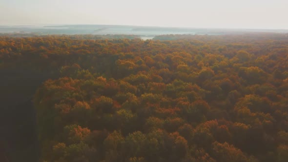 Aerial Video of Forest in Autumn at Sunset