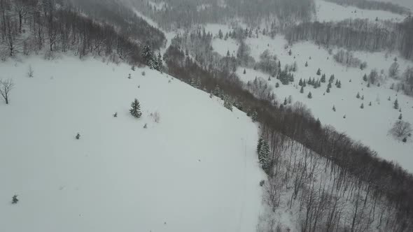 Aerial View of Empty Mountain Road Between Snowy Pine Trees