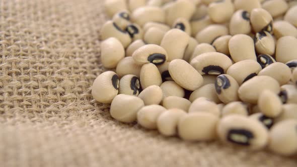 Traditional Castilla beans. Dry spanish legumes on rustic rough burlap. Beige grains