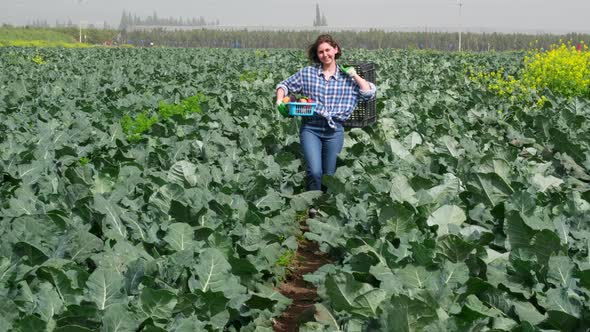 a Woman Works in an Agricultural Field Where Vegetables Grow