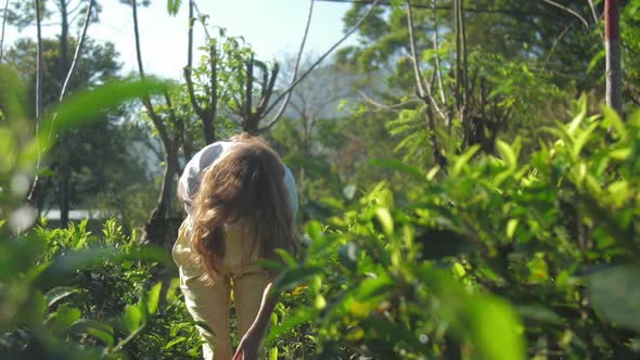 Lady Bends Up Adjusts Long Hair Among Tea Bushes Slow Motion