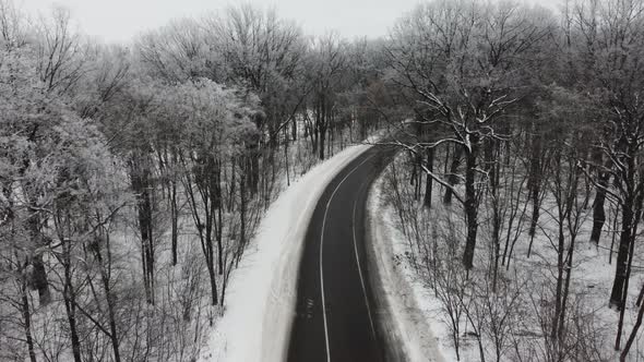 Aerial View of Forest Empty Road