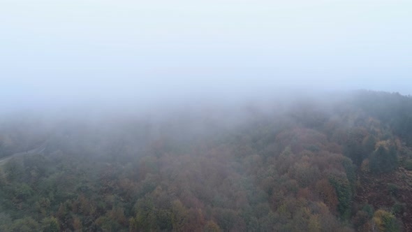 Aerial Drone View of Mist Going Above Tree Tops in the Fall. Autumn Forest with Fog