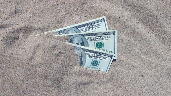 Money Dolars Half Covered with Sand Lie on Beach Closeup