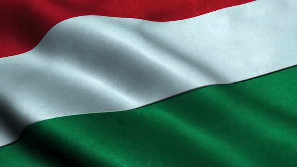 Highly Detailed Flag Of Hungary