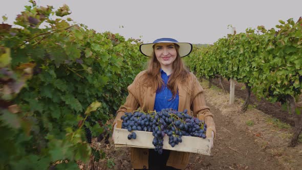 During Harvest Woman with Red Grape Box