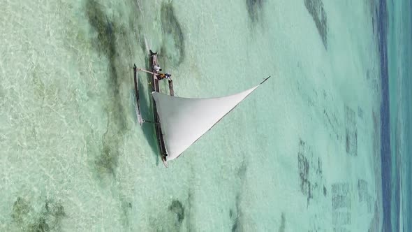 Tanzania Vertical Video  Boat Boats in the Ocean Near the Coast of Zanzibar Aerial View