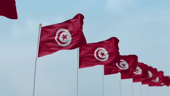 Tunisia Row Of Flags 