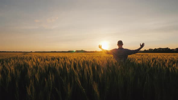 A Male Farmer Raises His Hands Up the Rising Sun Over a Wheat Field