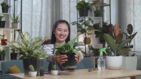 Smiling Asian Woman Holding And Showing The Plant To Camera At Home