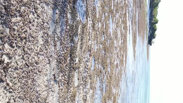 Vertical Video of Low Tide in the Ocean Near the Coast of Zanzibar Tanzania Aerial View