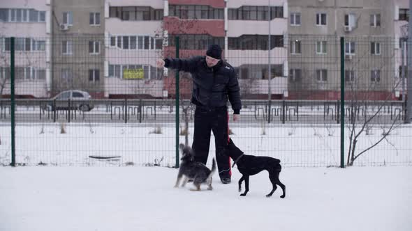 Man Training Playful Dogs on Winter Walk While Snowfall