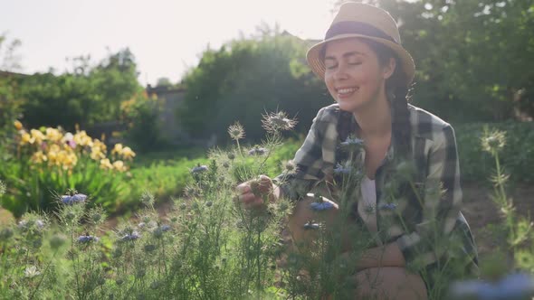 A young happy woman walking to the blue Nigella Sativa flower bushes, sniffs and enjoys them