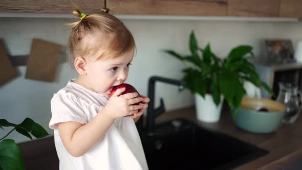 Baby Girl Blonde Eating an Apple in the Kitchen Concept of Healthy Food for Children