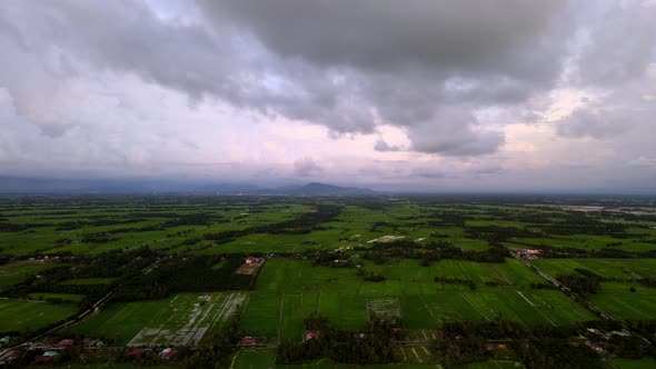 Aerial view dark cloudy day over rural paddy field at Kuala Kurau