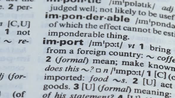 Import Word Meaning Pointed in Vocabulary, International Economy and Trade