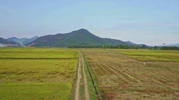Drone Flies Fast Over Ground Road Among Rice Fields