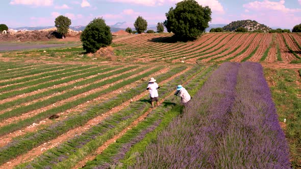 Harvest Time