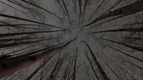 Time-lapse of Stars in the Sky