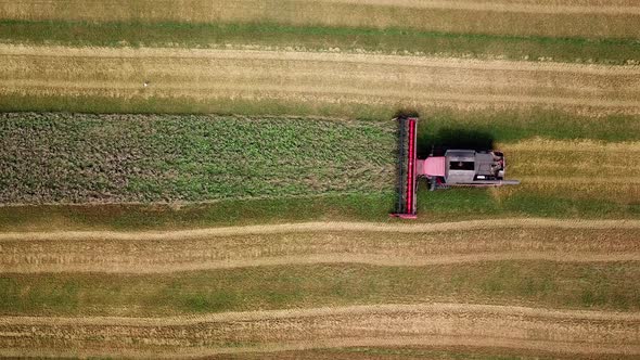 Combine Harvester Working