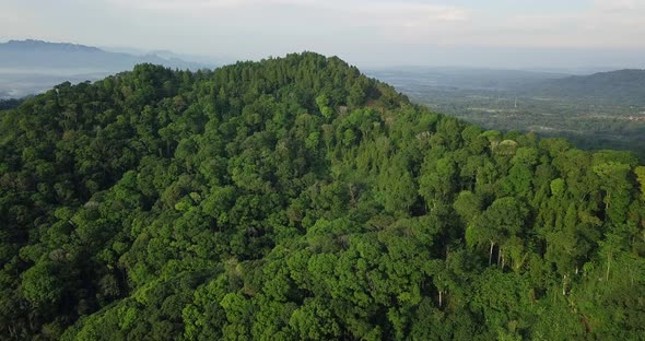 aerial drone view of land in tropical country in the morning. variety of plants and vegetation. Gree