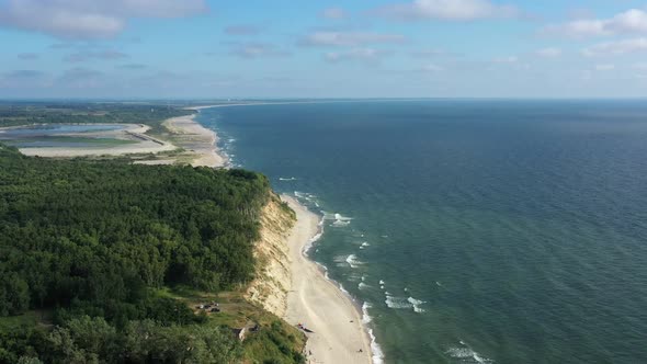 Baltic Coastline with Green Summer Forest and the Sea