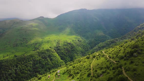 aerial view from mountain and forest