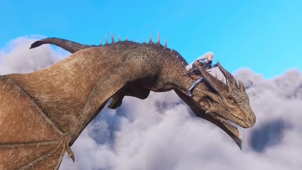 White Haired Female Warrior Knight Flies on a Dragon alt