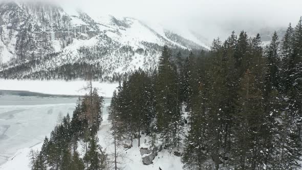 Aerial of pine forest at the edge of frozen lake in winter