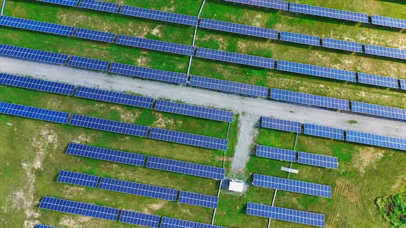 Modern solar station with blue panels standing in field with green grass under a bright sunlight.