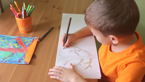 Boy Drawing Tree Sitting By Desk