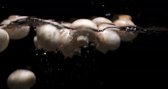 Fresh Mushrooms Fall Under Water with Air Bubbles. 