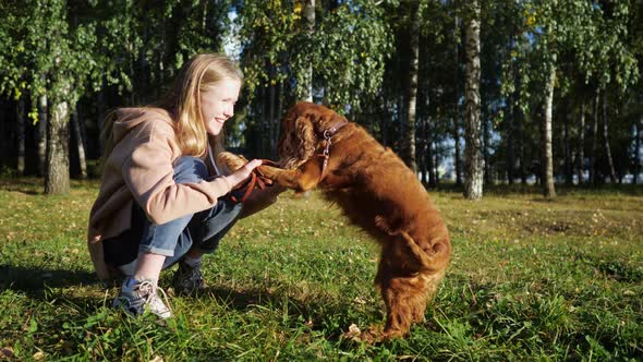 Fair Haired Girl Smiles and Plays with Russian Spaniel Dog