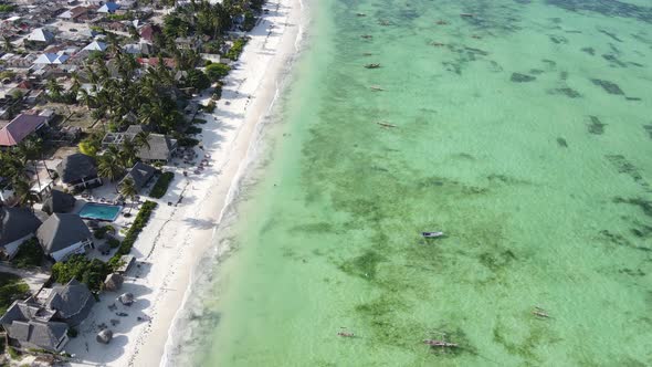 Aerial View of the Beach on Zanzibar Island Tanzania