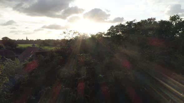 Aerial Slowly Flying Down a Tree that Blocks the Sun with Green Countryside in the background