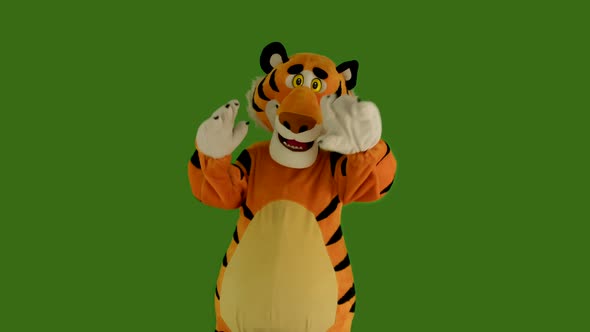 Man in Tiger Costume Dances on Green Screen Chromakey 422 10 Bit