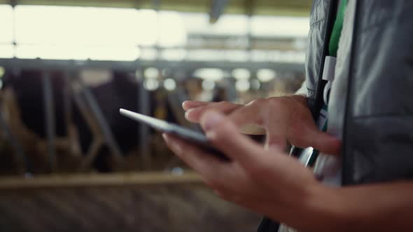 Closeup Farmer Hands Using Tablet Computer in Modern Dairy Farm Facility Cowshed