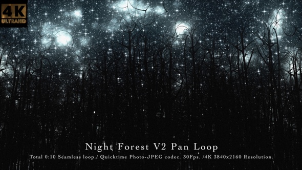 Night Forest V2 Pan