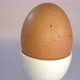 Rotating chicken egg - VideoHive Item for Sale