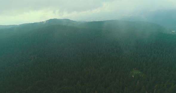 A Shot of a Forest Road and Forest From the Air Through a Thick Fog