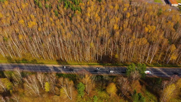High Angle View of a Road Trough the Autumn Forest with Copy Space.