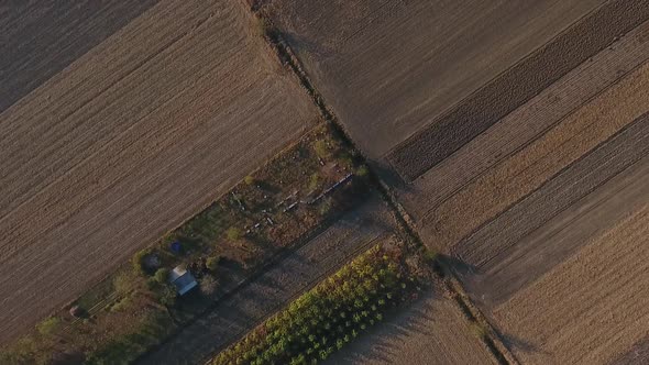 Farm And Plowland