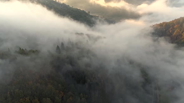 Sunrise in Foggy Autumn Mountains, Flying in Clouds Among Misty Mountains Covered with Forest