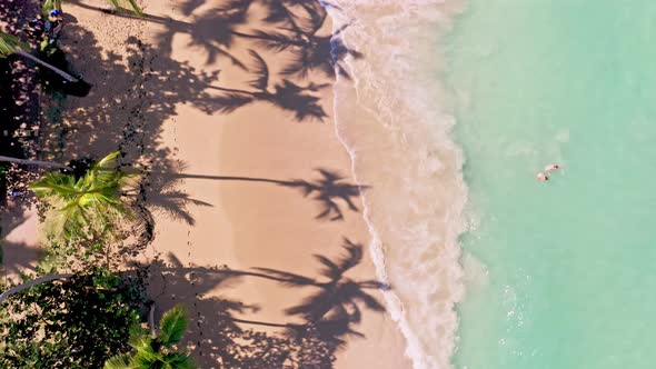 Bird's Eye View Of Playa Bonita Beach In Las Terrenas, Dominican Republic - aerial drone shot