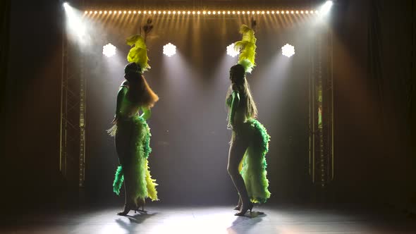 Silhouettes of Female Dancers in Exotic Brazilian Carnival Costumes Dancing in a Dark Studio. Young