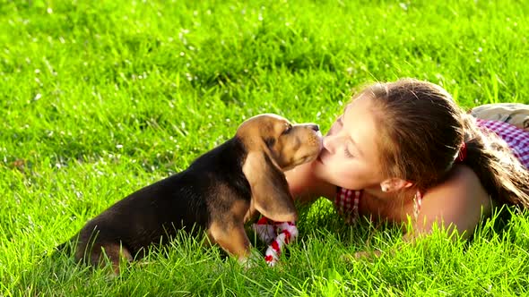 Beagle Puppy Dog Eating From Hand in Woman's Arms. Slow Motion